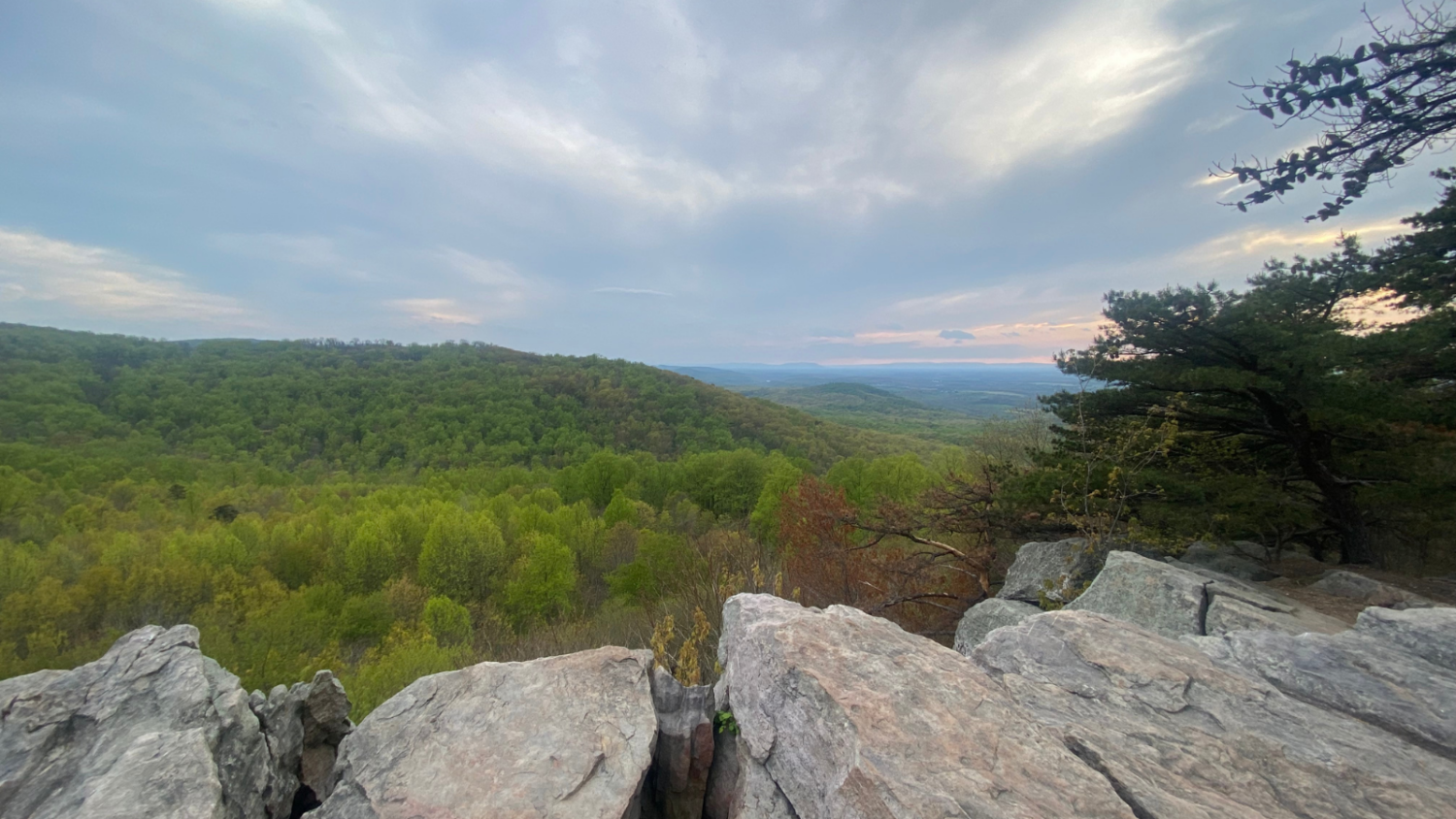 City Kids Top 5 Hikes in the DMV - City Kids Wilderness Project